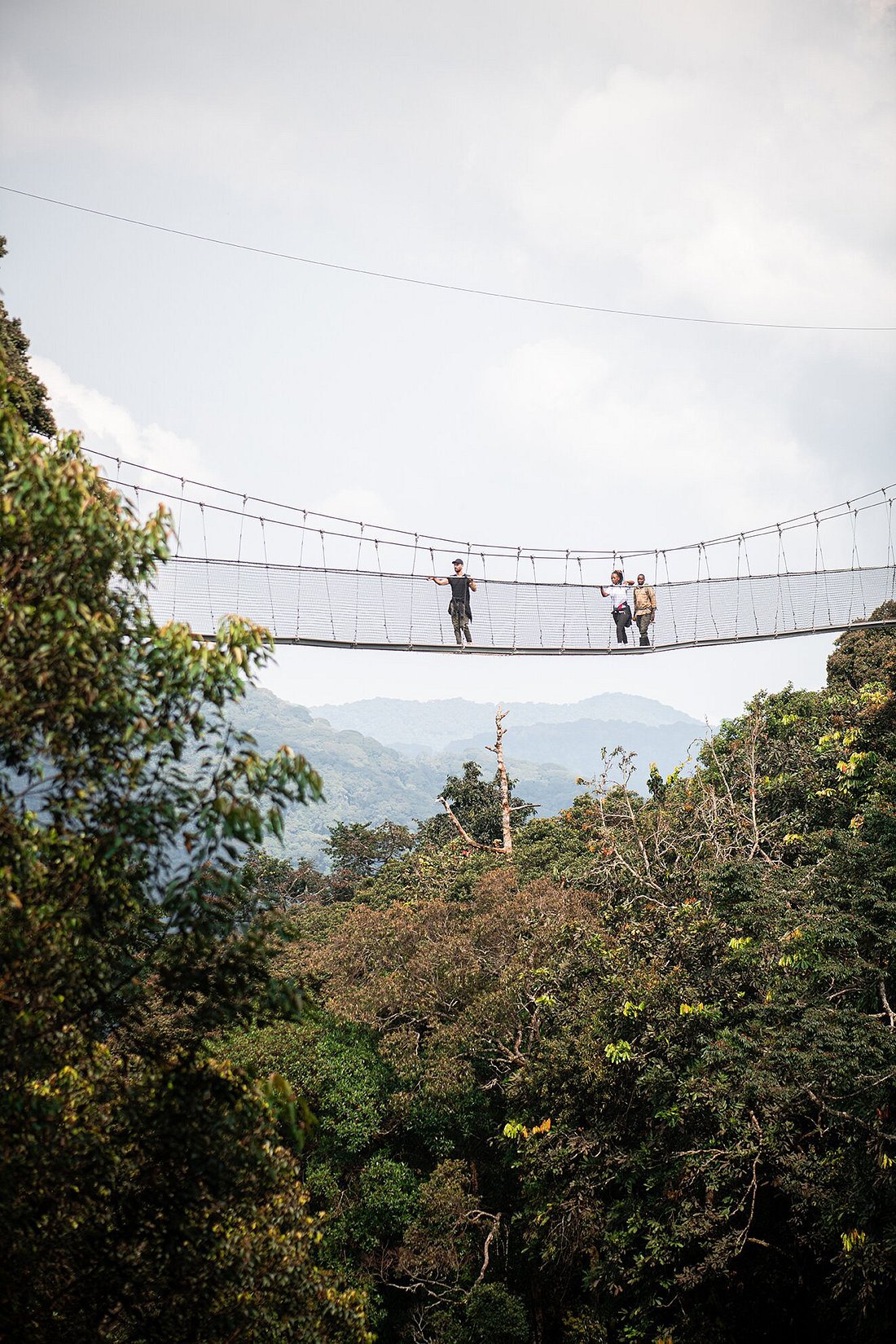 Nyungwe Forest Canopy Walk & Zipline