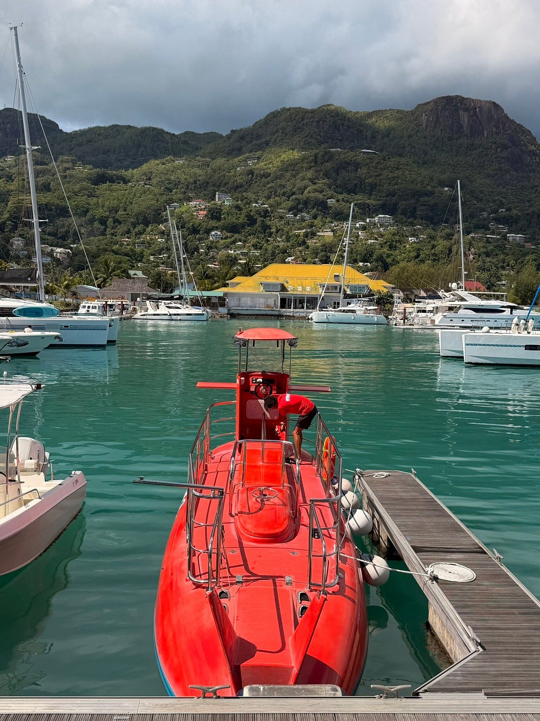 Semi-Submarine Reef Excursion