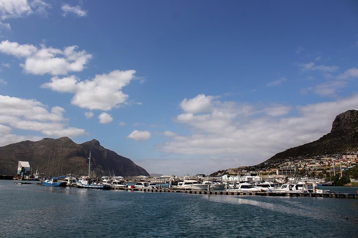 Cape Peninsula & Penguins Coastal Tour