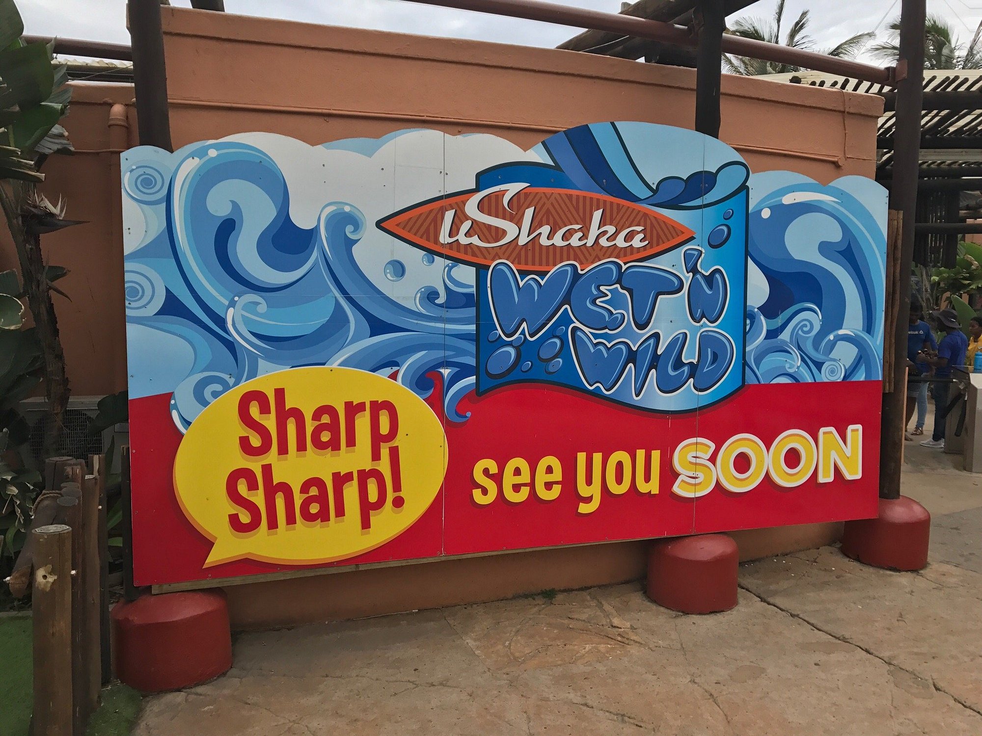 uShaka Marine World Dolphin Show