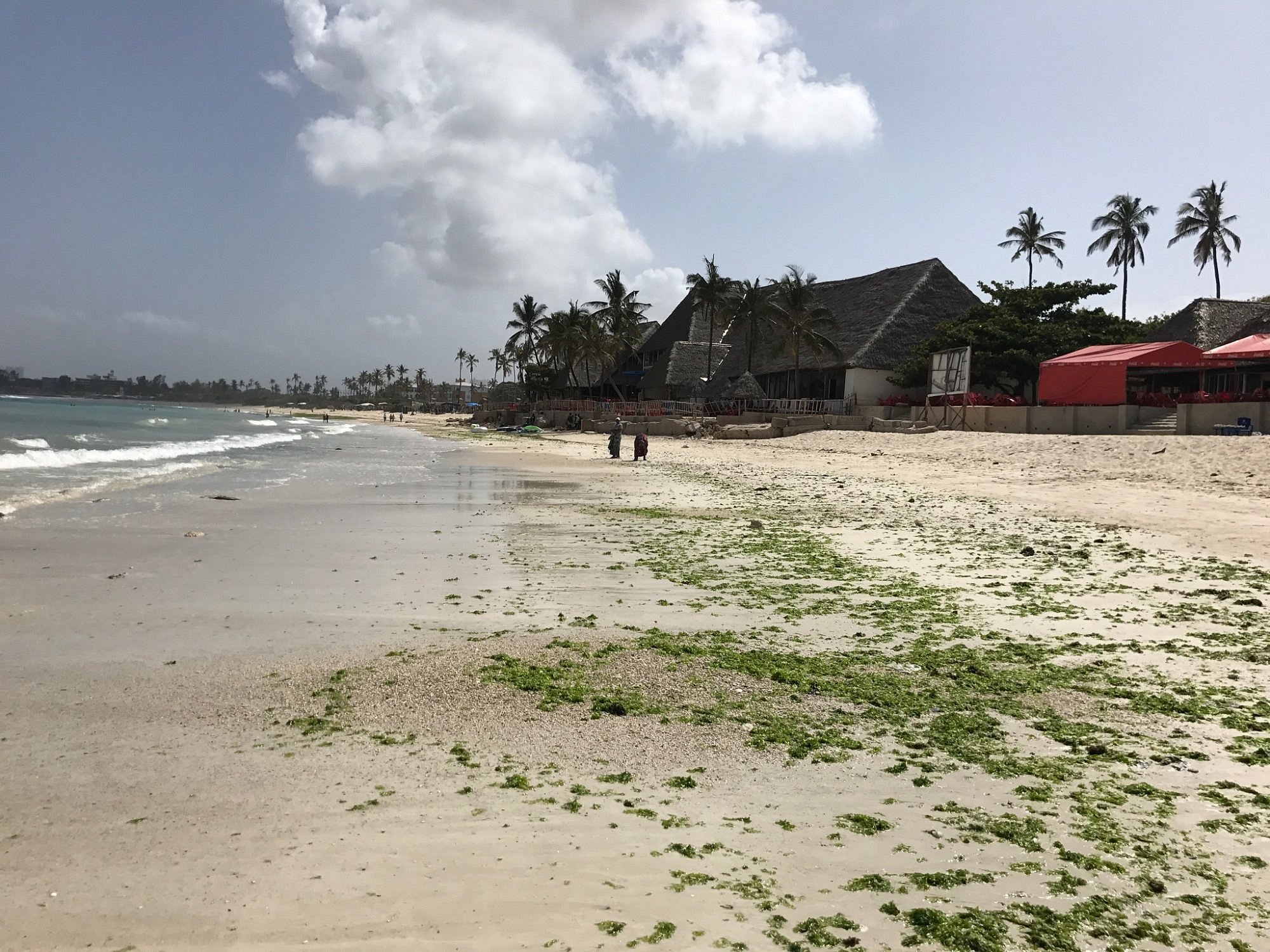 Coco Beach Experience (Oyster Bay)