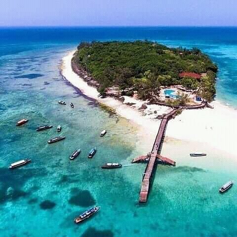 Prison Island Giant Tortoise Tour