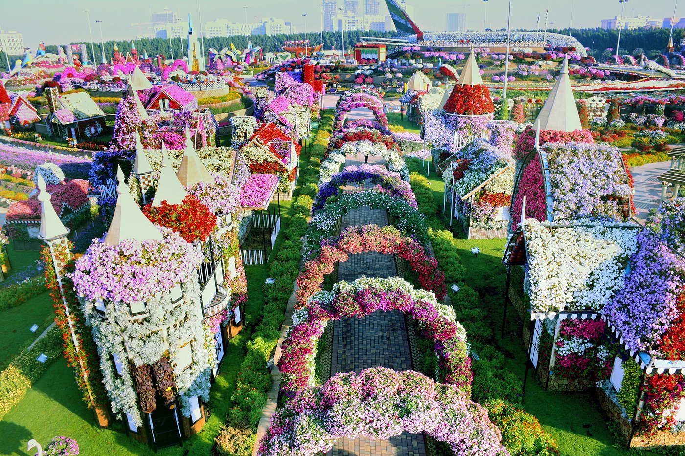 Dubai Miracle Garden Tour